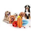 Dog Treat Dispensing Slow Feeder Ball for Chewing