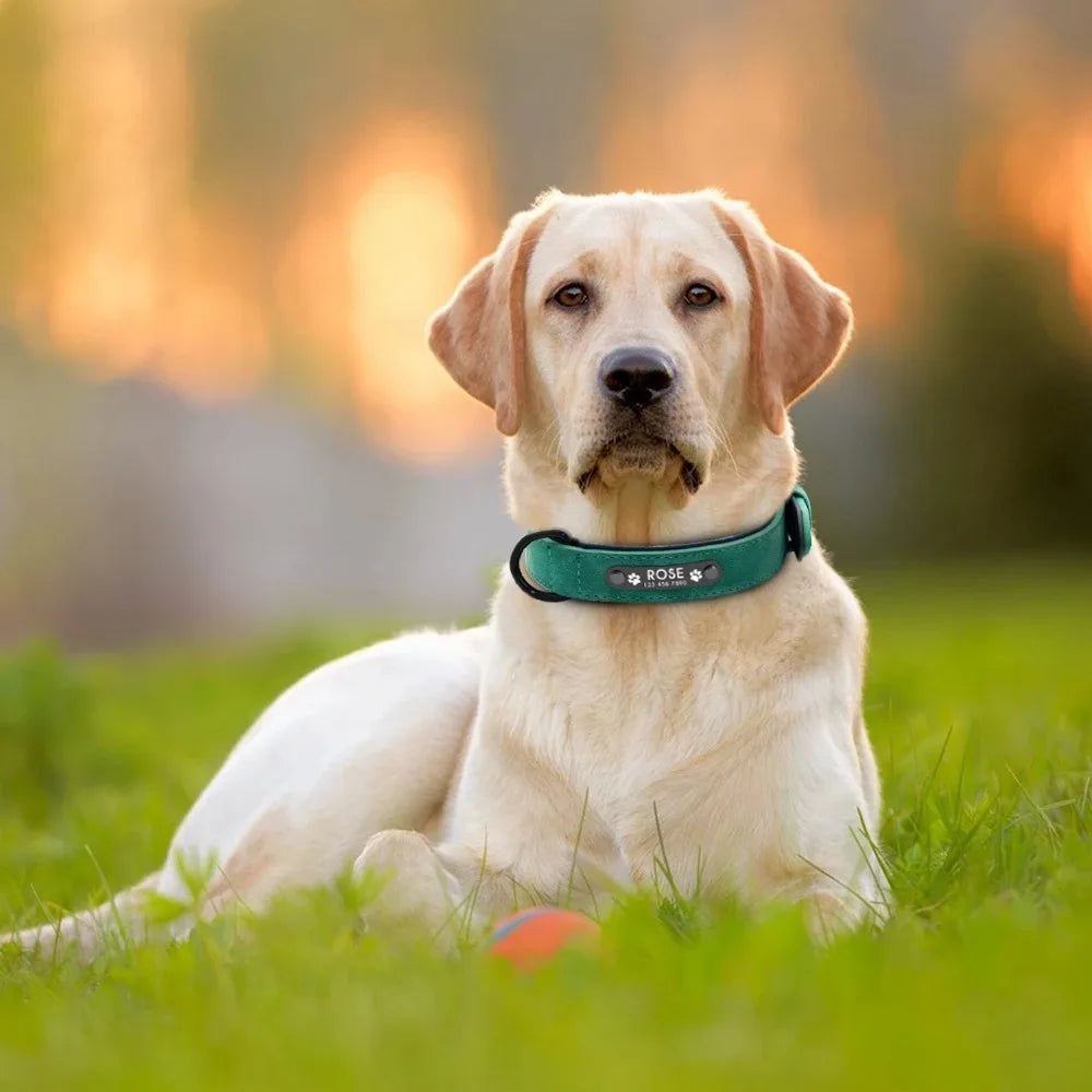 Personalized Leather Dog Collar With Engraved Name Tag