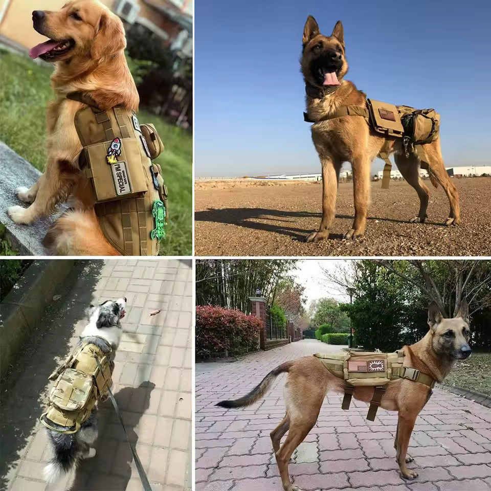 1 Piece Tactical Patch Bundle For Dog Vest Harness Collar Personalized Patches Tags Sticker Label Custom Name ID Service Dog