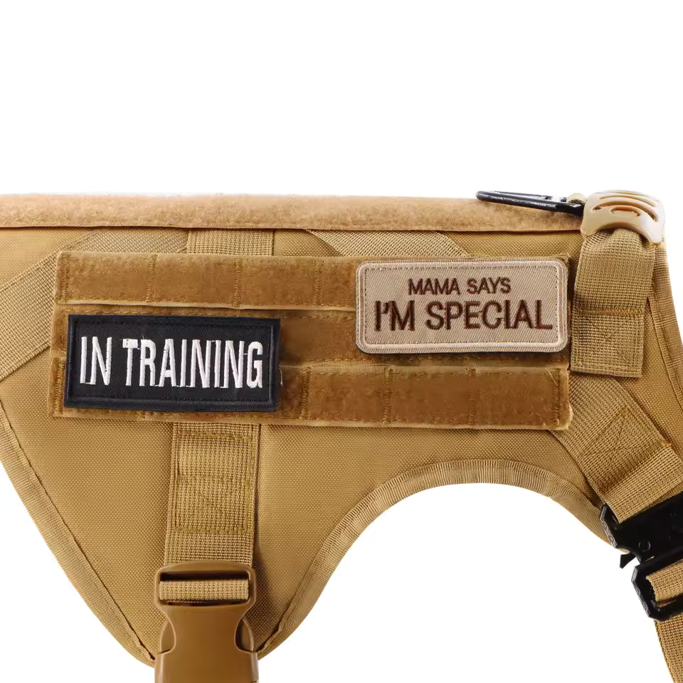 1 Piece Tactical Patch Bundle For Dog Vest Harness Collar Personalized Patches Tags Sticker Label Custom Name ID Service Dog